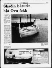 Síða 5