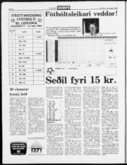 Síða 8