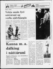 Síða 20