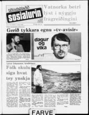 Síða 1