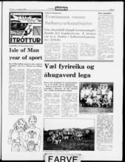 Síða 5