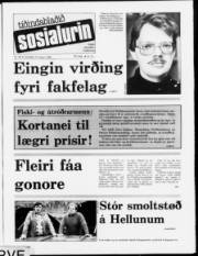 Síða 1