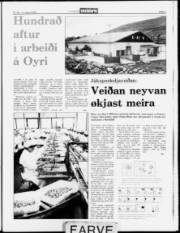 Síða 5