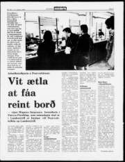 Síða 3