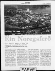Síða 8