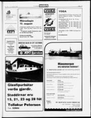 Síða 13