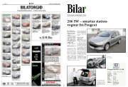 Síða 10
