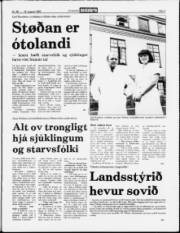 Síða 3