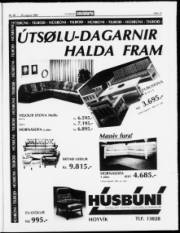 Síða 17