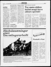 Síða 5