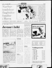 Síða 9