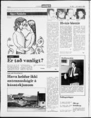 Síða 2