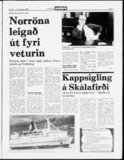 Síða 3