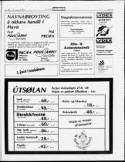 Síða 13