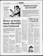 Síða 3