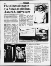 Síða 2
