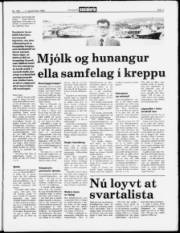 Síða 3