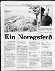 Síða 10