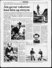 Síða 3
