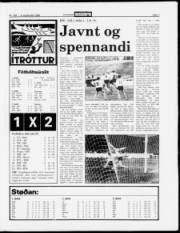 Síða 7