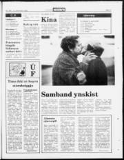 Síða 11