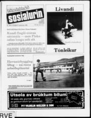 Síða 1