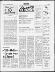 Síða 17