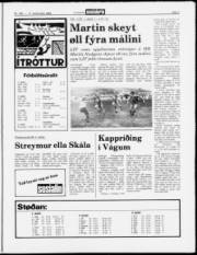 Síða 7
