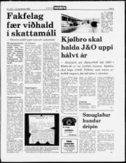 Síða 5