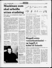 Síða 3