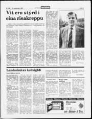 Síða 11
