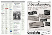 Síða 17