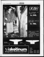 Síða 19