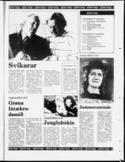 Síða 22