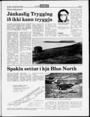 Síða 3