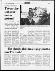 Síða 5