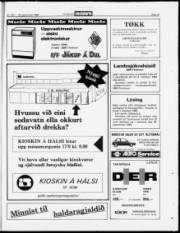 Síða 13
