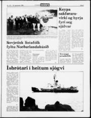 Síða 5