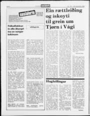 Síða 6