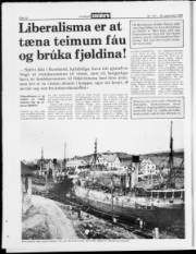 Síða 10