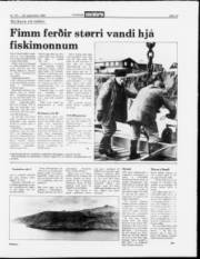 Síða 13