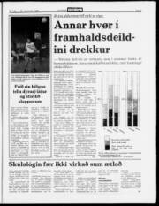 Síða 5