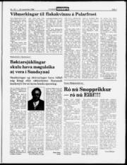 Síða 7