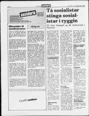 Síða 6