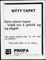 Síða 8