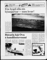 Síða 20