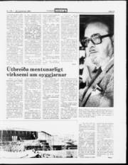 Síða 13