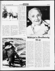Síða 15