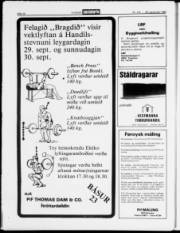 Síða 18