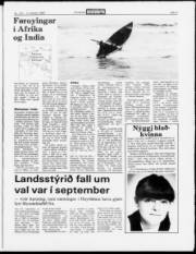Síða 3